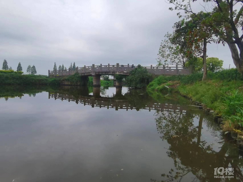 寧波古橋之龍三三眼橋（三十一）