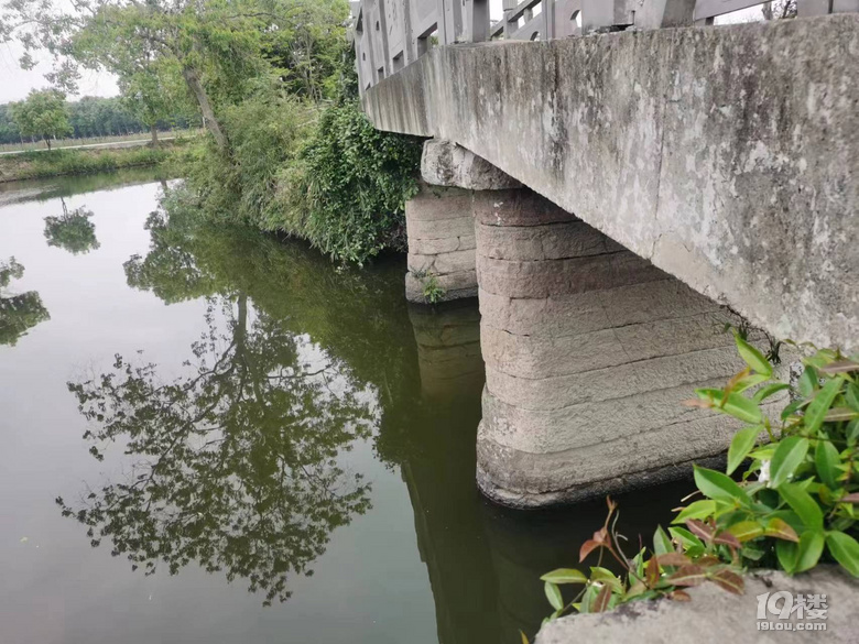 寧波古橋之龍三三眼橋（三十一）