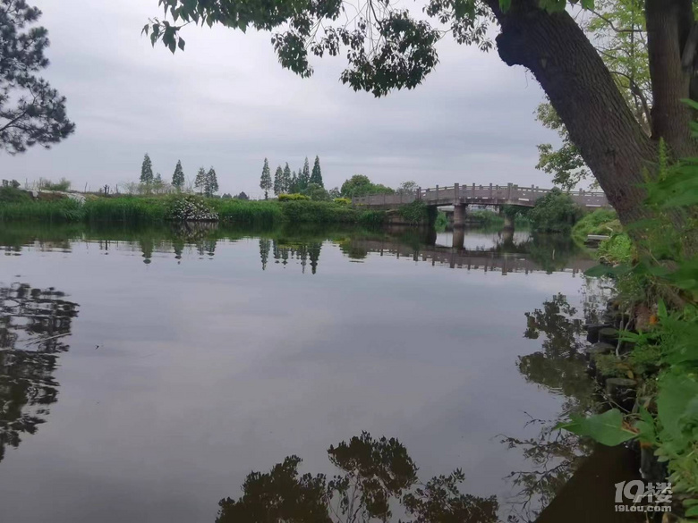 寧波古橋之龍三三眼橋（三十一）