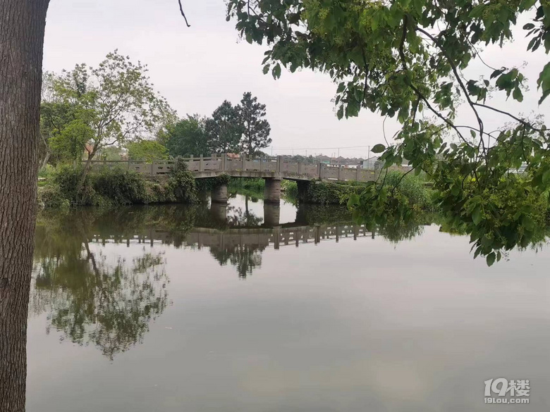 寧波古橋之龍三三眼橋（三十一）
