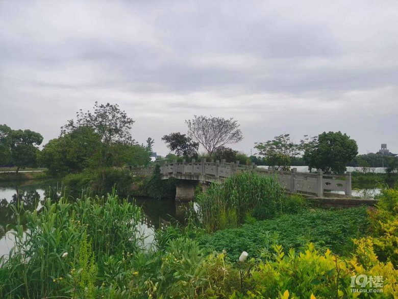 寧波古橋之龍三三眼橋（三十一）