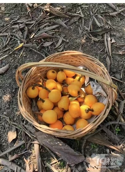 ˼