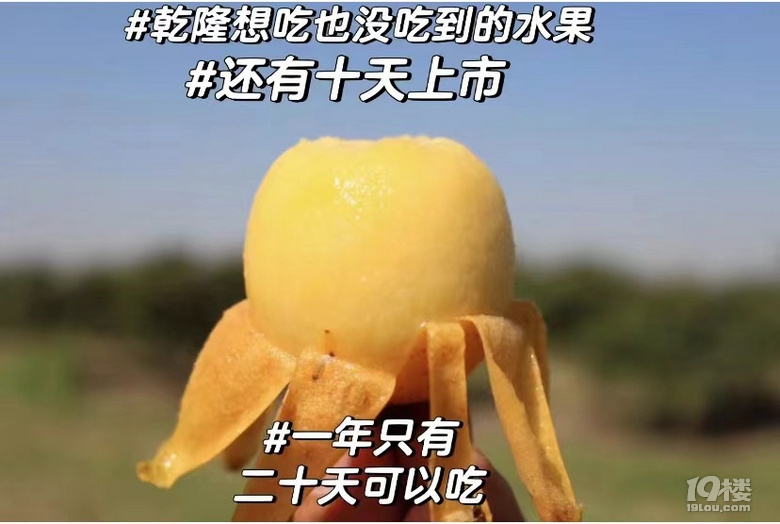 ˼