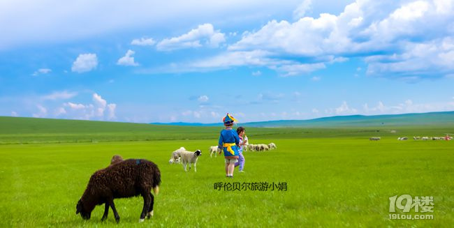 呼倫貝爾暑假親子游攻略，7天6晚草原夏令營活動推薦