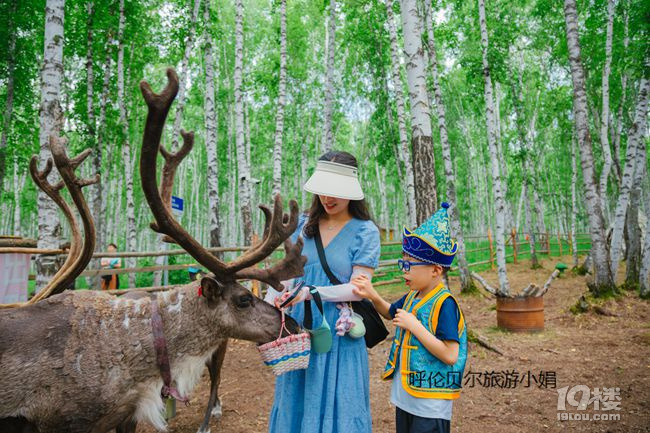 呼倫貝爾暑假親子游攻略，7天6晚草原夏令營活動推薦