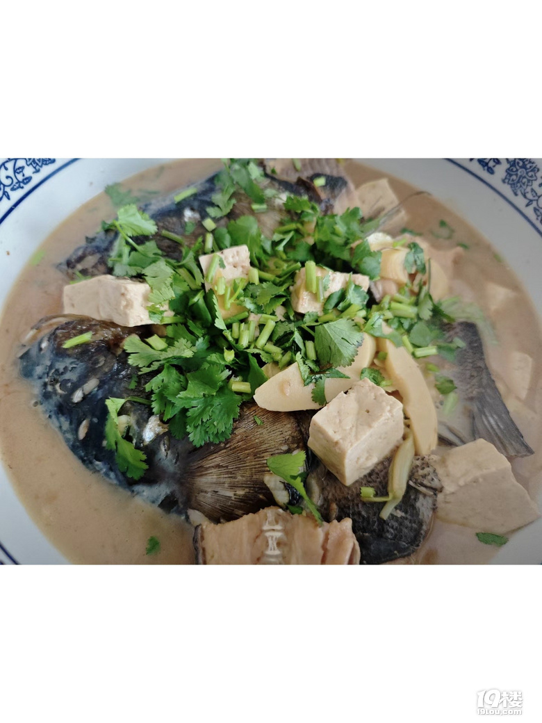 魚頭滾豆腐，干煸四季豆
