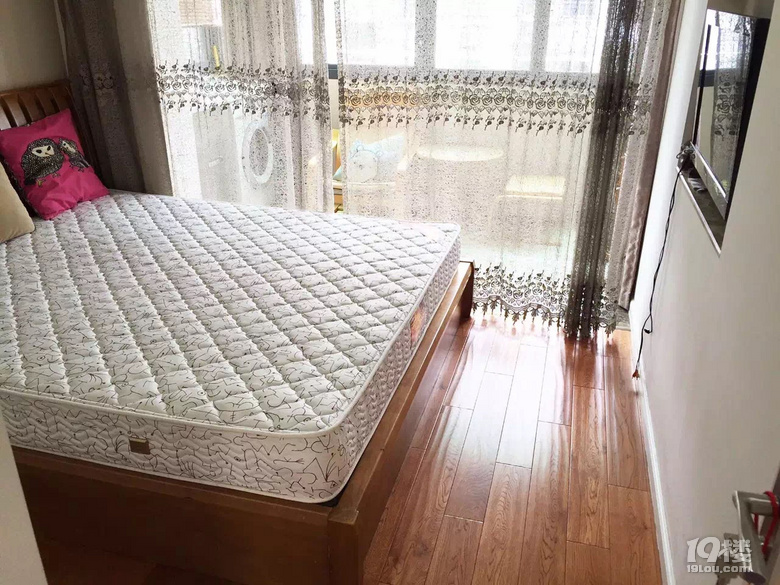 ļɺ̩С^(q)|ֱ⣬oн