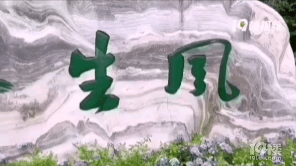 +޻