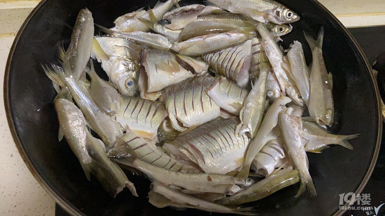 xȻxrζ