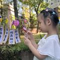 R׃@2024W(xu)һW(xu)﹝(ji)