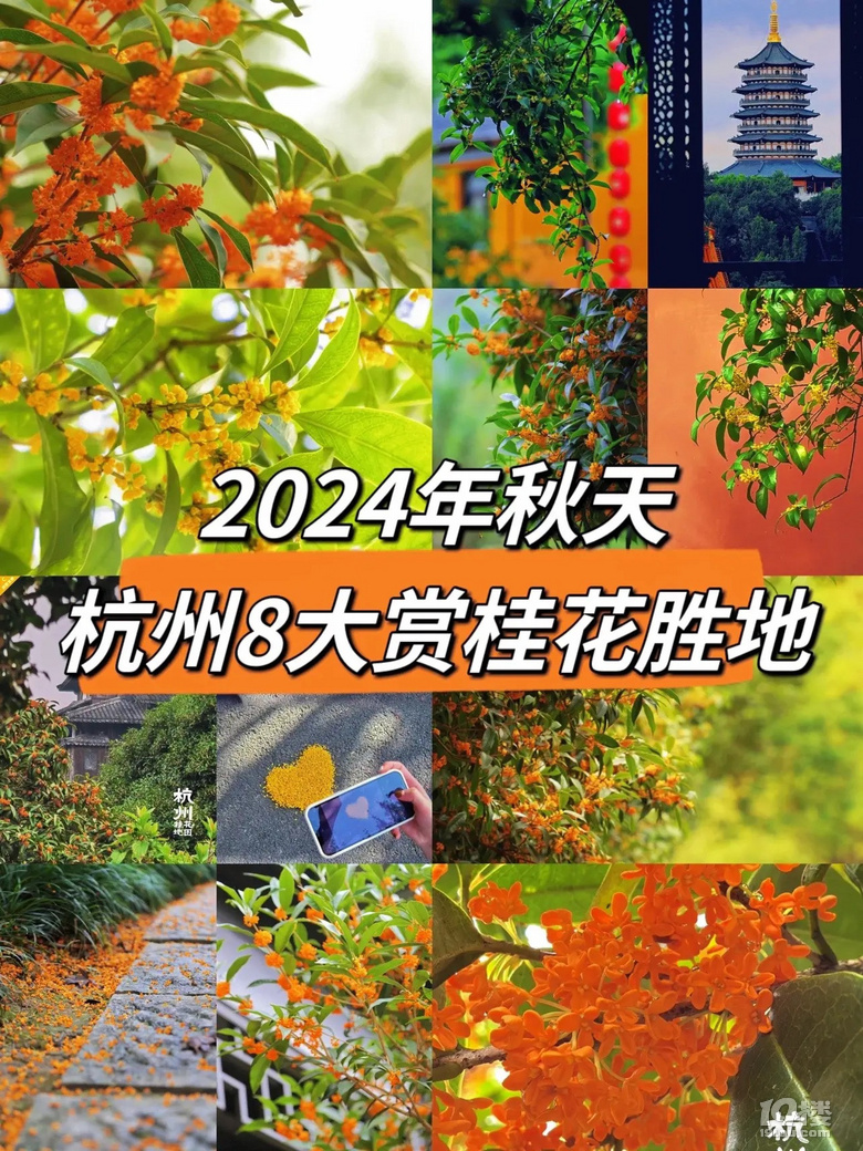 һ붮2024캼8p𻨺ȥ̎