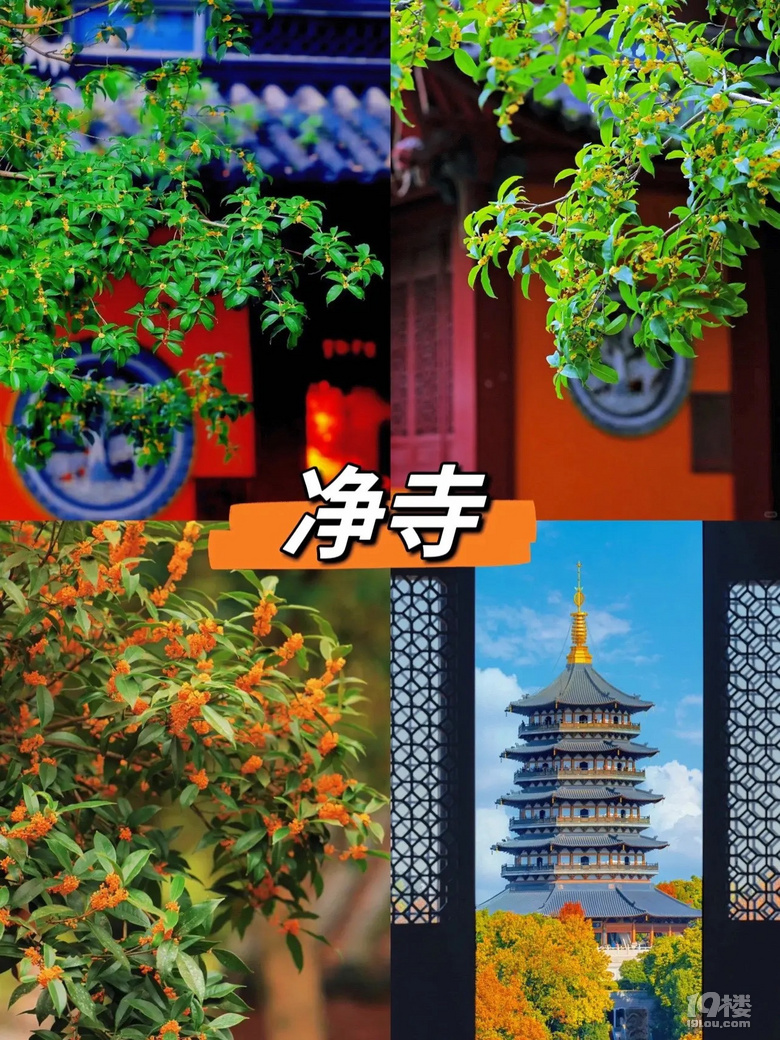 һ붮2024캼8p𻨺ȥ̎