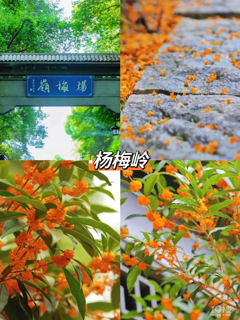 һ붮2024캼8p𻨺ȥ̎