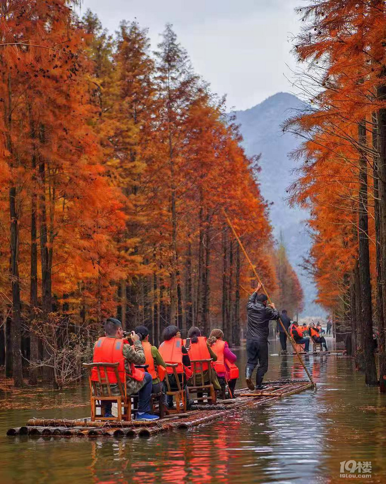 11月 2號  皖南川藏線 方塘紅杉林 尋求組隊