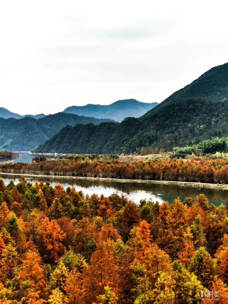 11月 2號  皖南川藏線 方塘紅杉林 尋求組隊