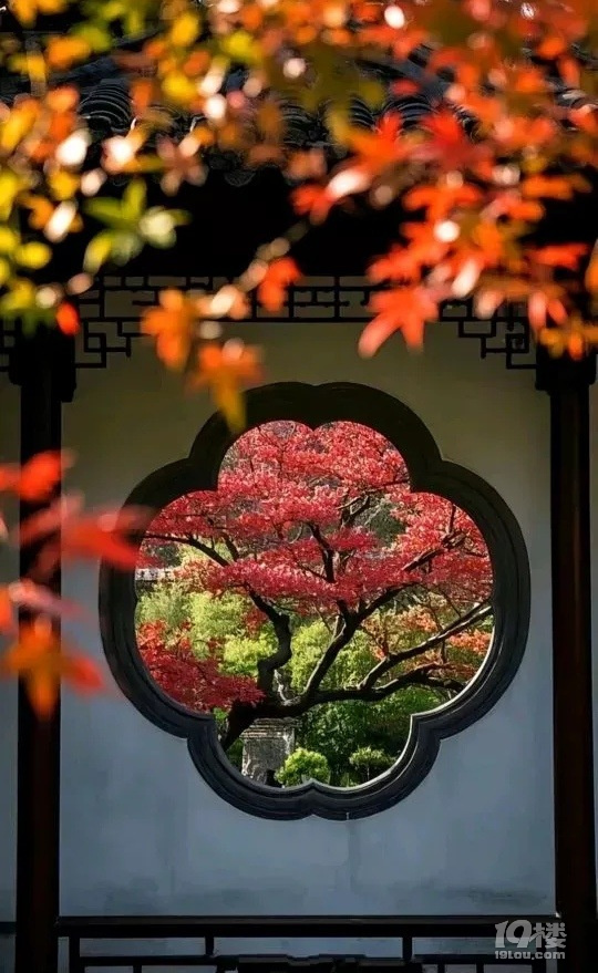 ߅ʮⲻe(cu){(ln)ضȲܵ.