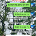 鿴ß