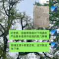 鿴ß