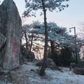 賿һ2025һѩ