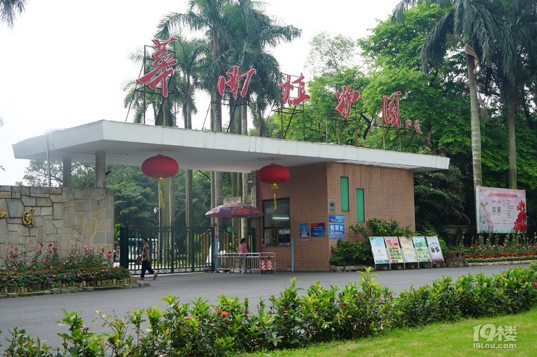 重游花都廣州城