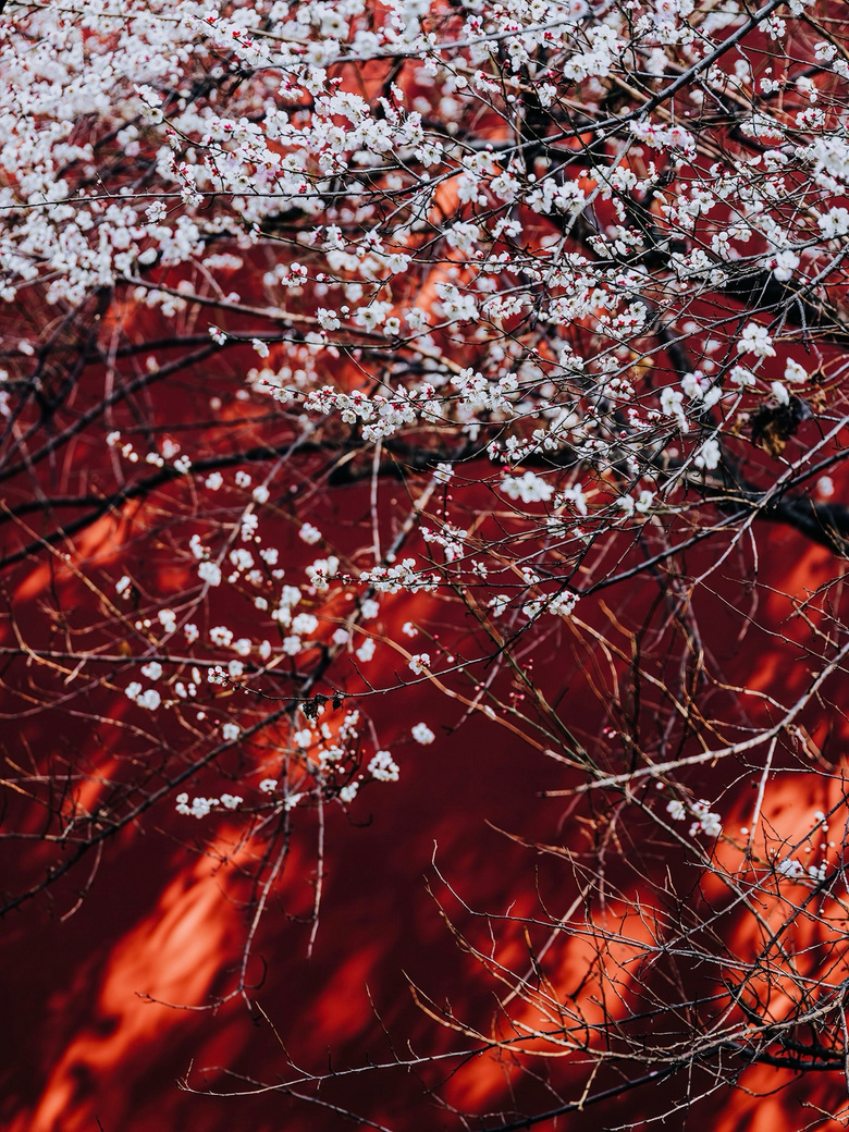 t÷ѩď¡X(qin)