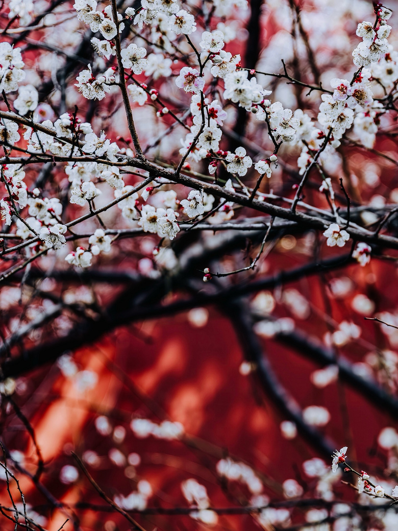 t÷ѩď¡X(qin)