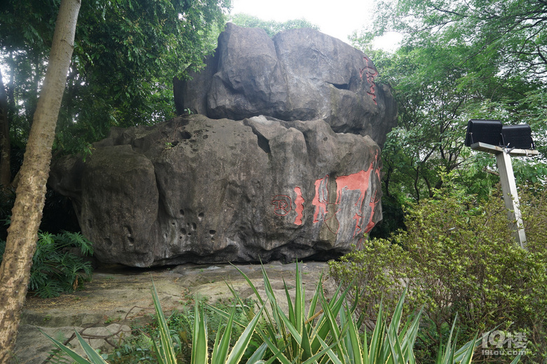 重游花都廣州城