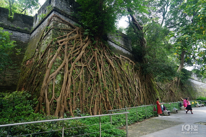 重游花都廣州城