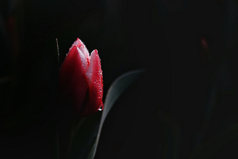 ܰ