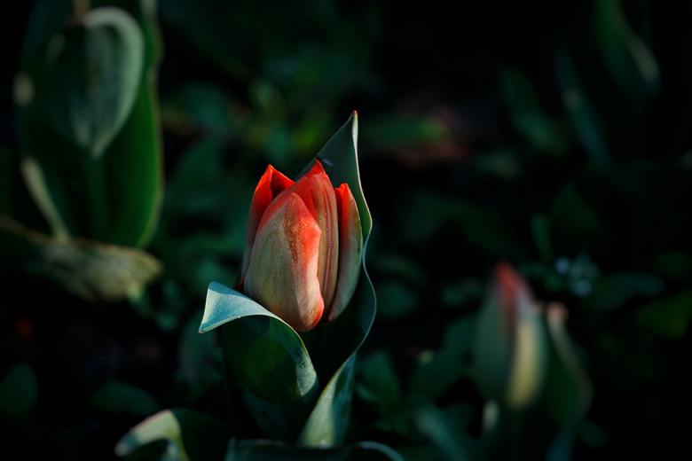 ܰ