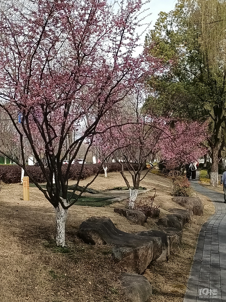 春游大運(yùn)河亞運(yùn)公園