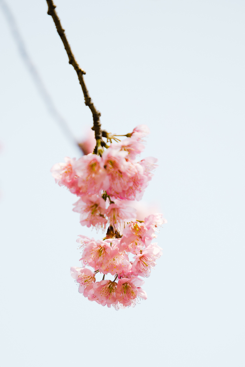 ֲ@