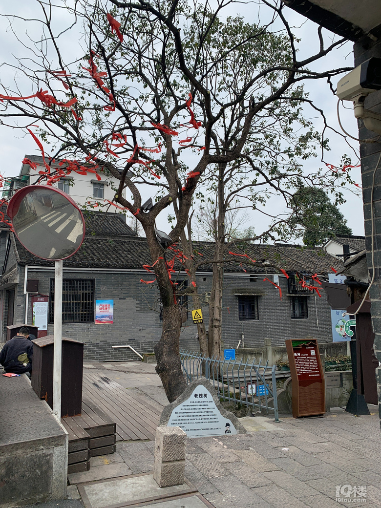 游遍杭州-長河古鎮(zhèn)，白馬湖，湘湖，聞堰老街