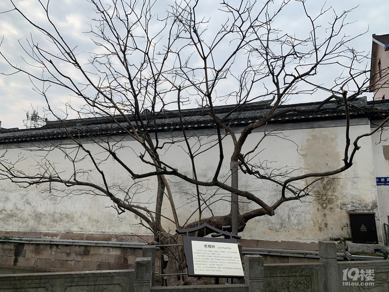 游遍杭州-長河古鎮(zhèn)，白馬湖，湘湖，聞堰老街