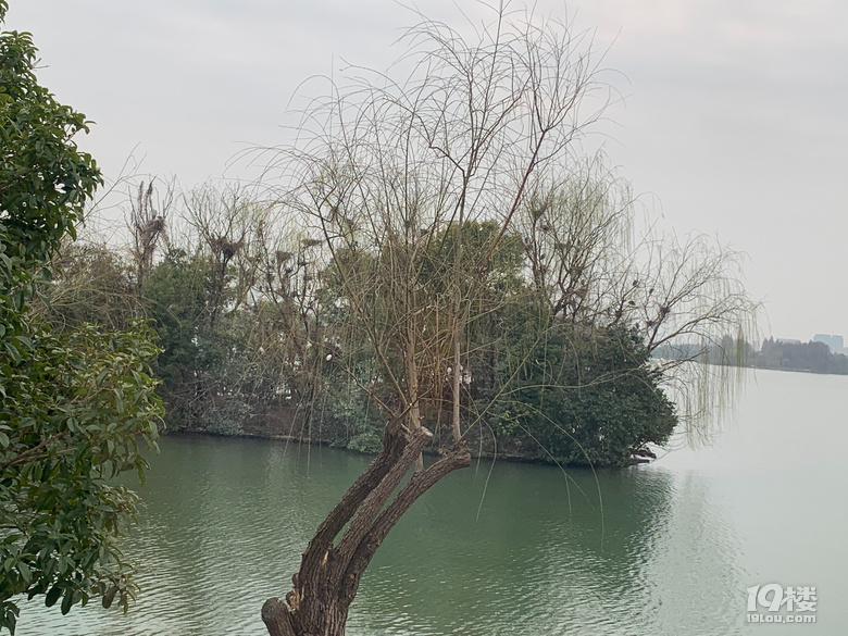 游遍杭州-長河古鎮(zhèn)，白馬湖，湘湖，聞堰老街