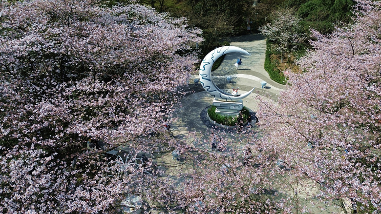 ꃺͯ@ѻ