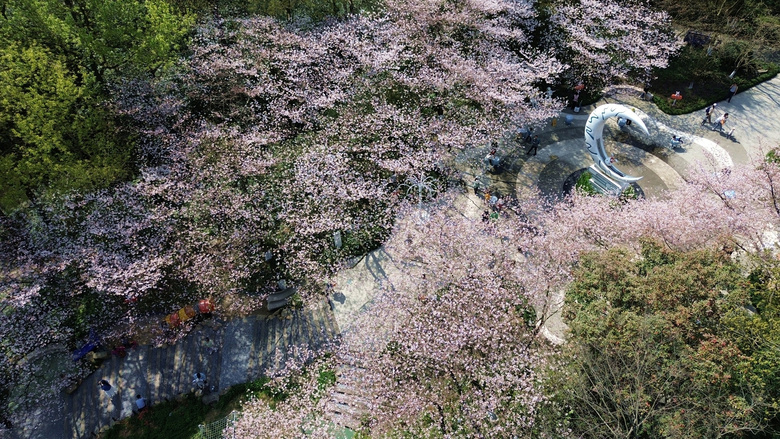 ꃺͯ@ѻ