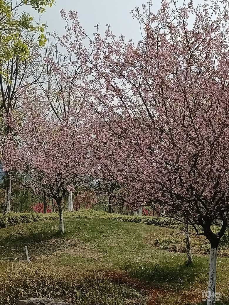 һ@