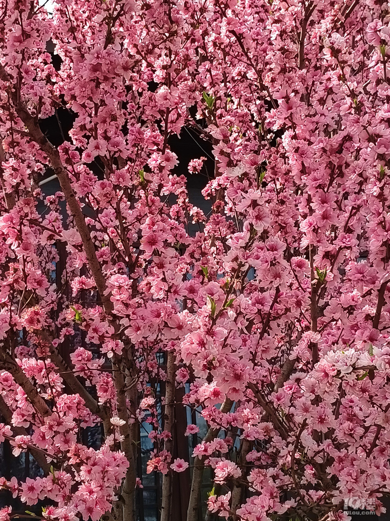 һ@