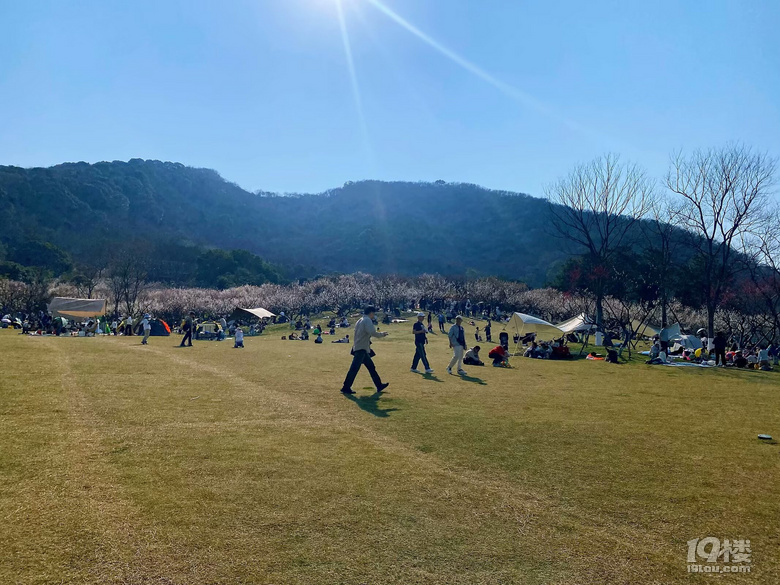 成長(zhǎng)日記（三十四）之2025.3（超山、太子灣公園）