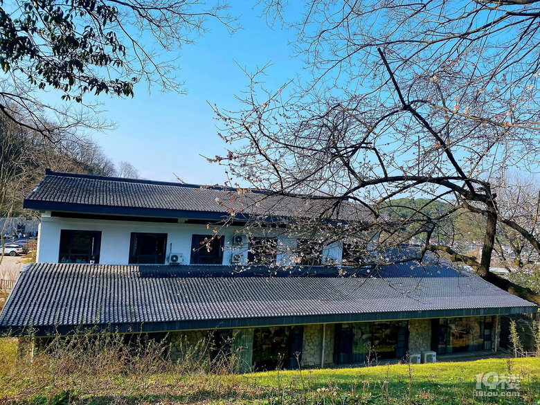成長(zhǎng)日記（三十四）之2025.3（超山、太子灣公園）
