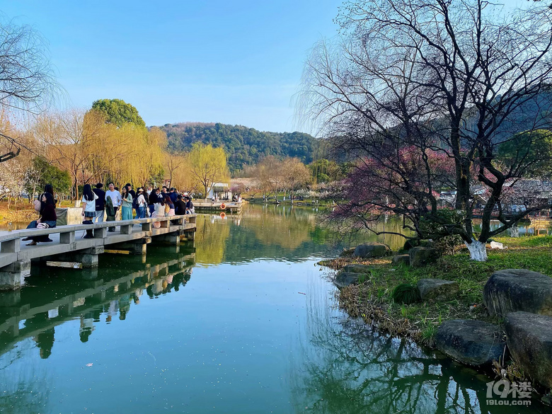 成長(zhǎng)日記（三十四）之2025.3（超山、太子灣公園）