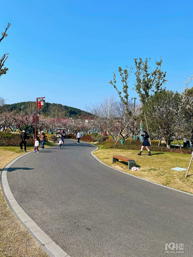 成長(zhǎng)日記（三十四）之2025.3（超山、太子灣公園）