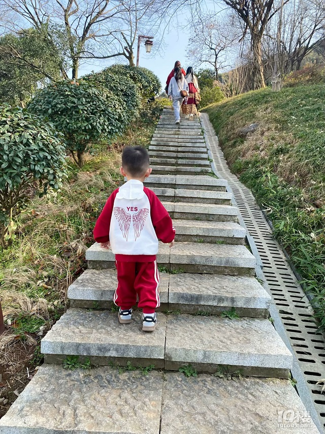 成長(zhǎng)日記（三十四）之2025.3（超山、太子灣公園）