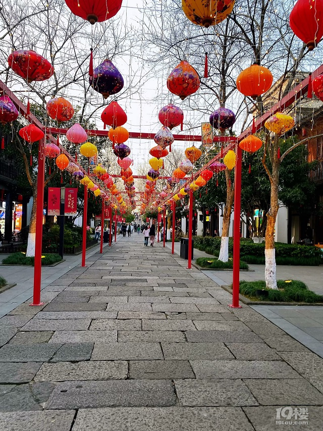 成長(zhǎng)日記（三十四）之2025.3（超山、太子灣公園）