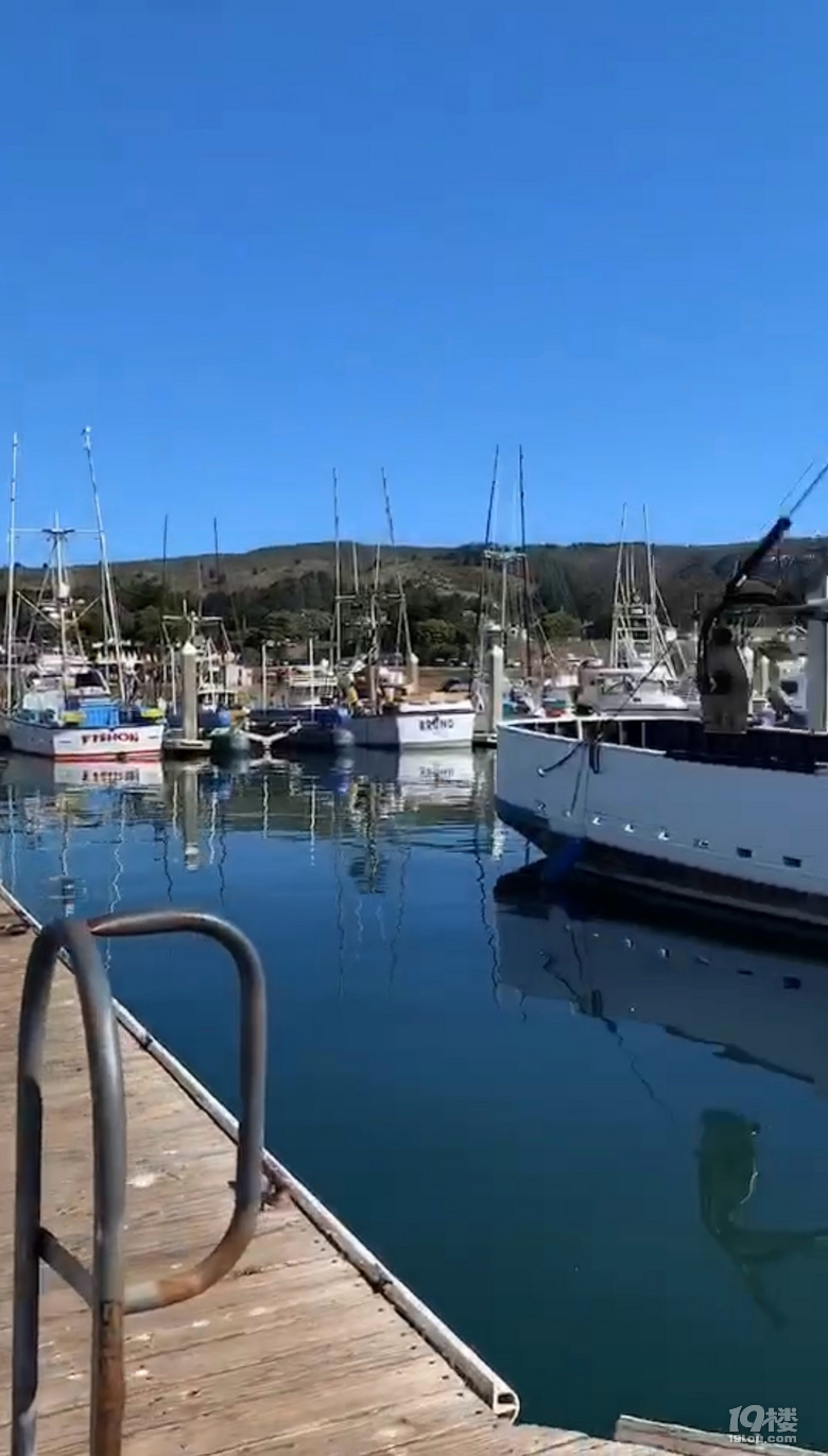 й¡Halfmoonbay°랳\