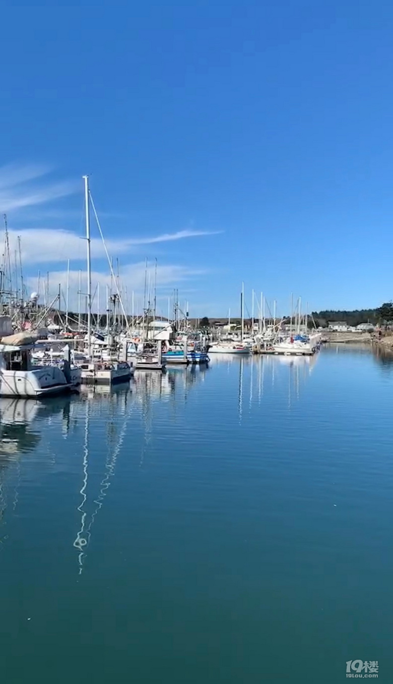й¡Halfmoonbay°랳\