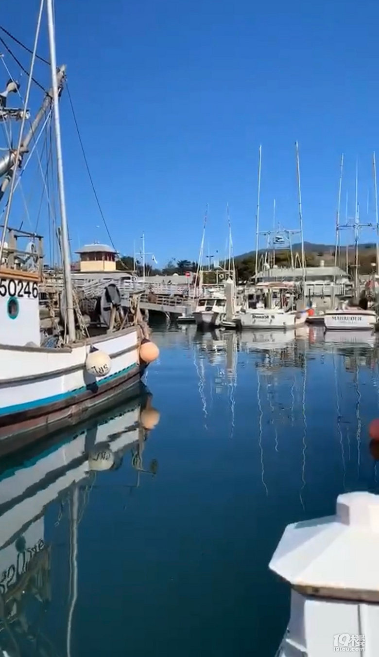 й¡Halfmoonbay°랳\