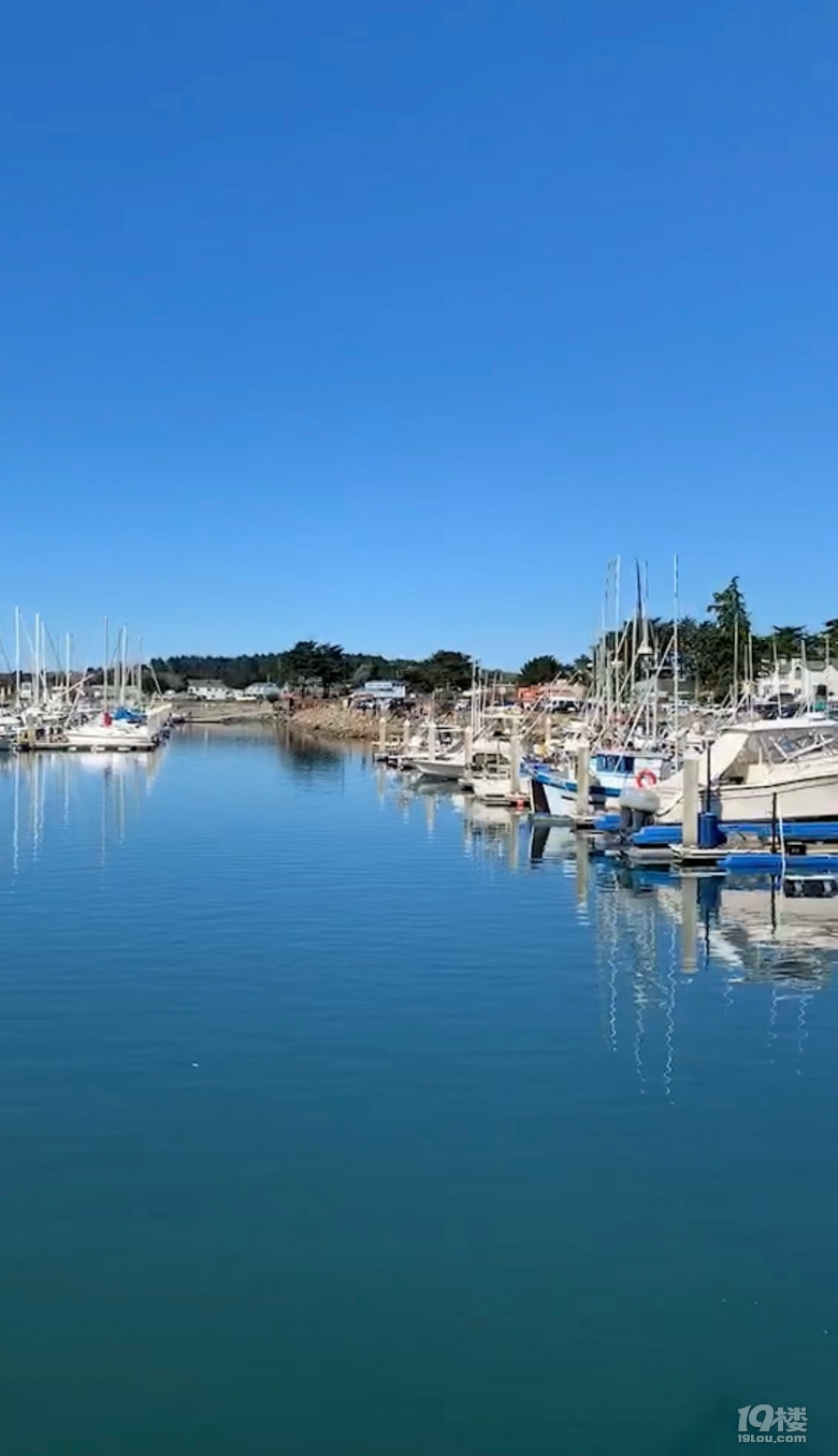 й¡Halfmoonbay°랳\