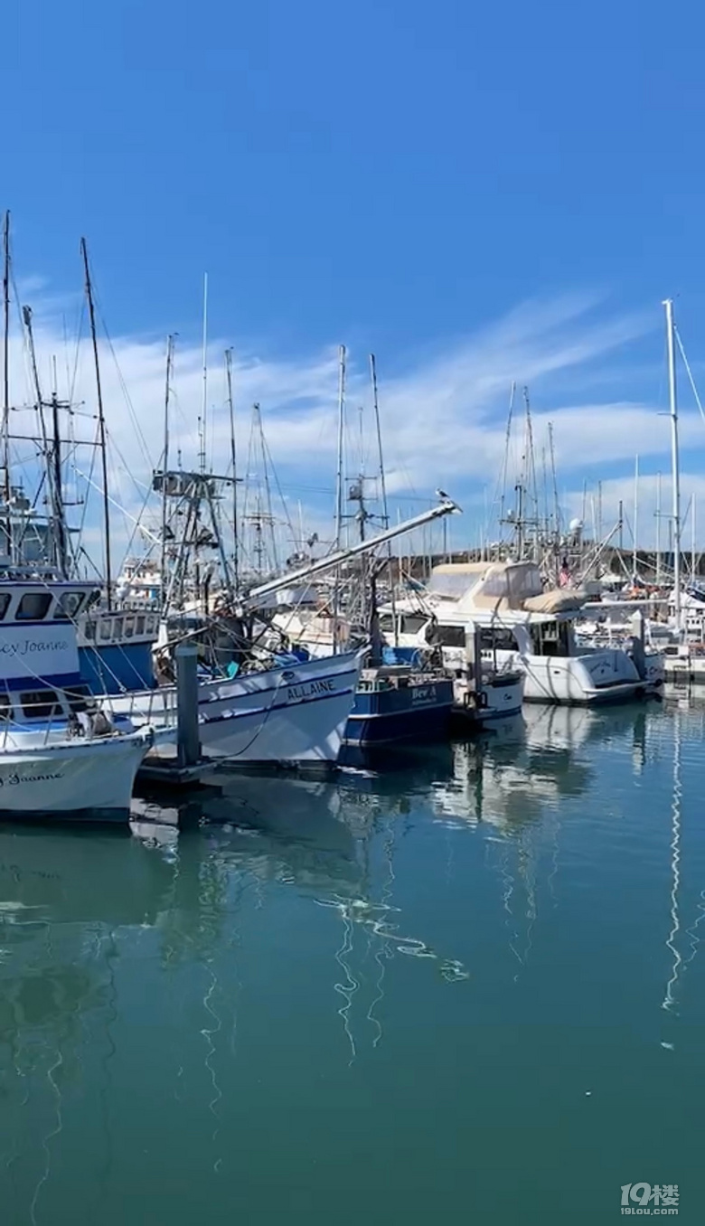 й¡Halfmoonbay°랳\